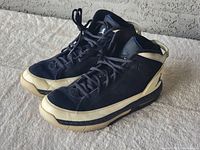 Pair of black and beige Air Jordan basketball shoes viewed from side, showing overall shape and color.