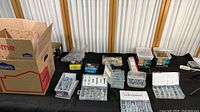 Wide view of the collection showing various containers of nails, screws, cotter pins, and eye screws including one cardboard box and several plastic organizers.