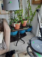 Two terracotta pots with orchids and four large blue ceramic pots on wooden rolling stands near a small black table and lamp.