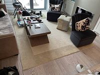 Full view of rectangular two-tone cream rug under coffee table and seating