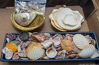 Assorted small seashells in tray and large scallop shells with snail cocktail cheese pins in decorative bowl on top left corner.