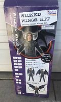 Original packaging box for Wicked Wings Kit showing full set including wings, chest piece, horns, and teeth.