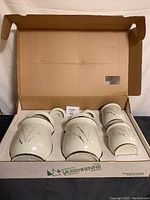 Overview of the full canister set in original cardboard box showing all items and packaging condition.