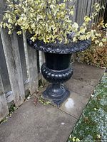 Close-up of cast metal urn planter showing decorative detailing and plant inside, with some rust visible