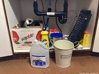 Photo showing under-sink area containing dish rack, compost can, cleaning liquids, and box of supplies.
