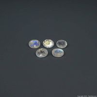 Five oval shaped rainbow moonstone gems arranged on black surface, showing white base and blue flash