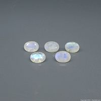Five oval rainbow moonstone gemstones showing their white base and blue flash on a flat surface.