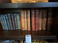 Wide shot of all 17 books on a dark wooden bookshelf, showing varying spine colors and bindings.