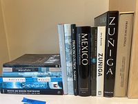 Full front view of the stacked and aligned books showing titles related to Mexico, muralists, and Francisco Zuniga.