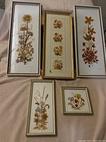 Overview image showing all five framed dried flower collections arranged on a blanket, displaying varied frame sizes and flower designs.