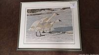 Overall view of the framed and matted print showing the tundra swans in snowy environment.