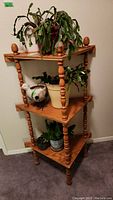 Three-tier wooden plant stand holding four plants in various pots, showing overall lot contents and condition.