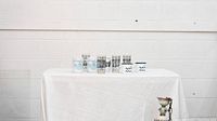 Wide shot showing all the cups and mugs on a white cloth-covered table against a white paneled wall.