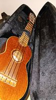 Full view of Nahenahe ukulele inside case showing body, neck, and headstock