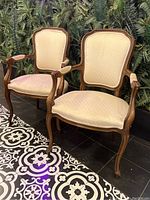 Front view of two chairs side by side on patterned tile floor against foliage background