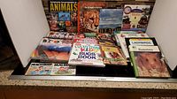 Photo of children's nonfiction books on animals, trains, weather, bugs, and hamsters arranged on a kitchen counter.