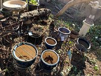 Photo showing mix of glazed pots inside metal plant stands, some soil residue visible inside pots, outdoor setting with fallen tree branch behind