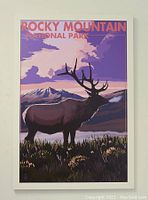 Framed poster showing illustration of lone moose with mountain background and text 'ROCKY MOUNTAIN NATIONAL PARK' at top in orange-red.