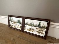 Pair of framed oil paintings on board resting against a wall, showing natural landscape scenes with grass and trees.