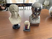 Three busts shown together on tabletop: chrome head bust, Napoleon bust, and small anatomical model