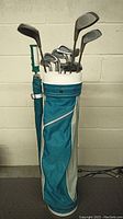 Full view of golf bag with umbrella attached, showing clubs inside.