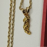 Close-up of gold rope chain and freeform nugget pendant inside box