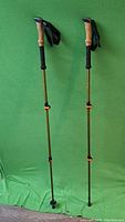 Two adjustable walking poles standing upright with cork handles, wrist straps, and gold telescoping shafts against a green backdrop.