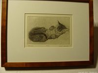Full framed etching of a curled sleeping cat, visible frame and matting.