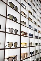 Display of various sunglasses and eyeglasses on backlit shelves, representing the eyewear available at Streetsville Eye Care.