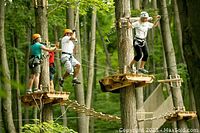 Group of people wearing helmets and harnesses navigating elevated wooden platforms, rope bridges, and zipline cables in forest trees.