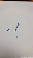 Five natural tanzanite gemstones, oval cabochons, arranged spaced apart on a white surface to show size and shape.