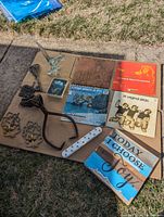 Lot contents arranged on cardboard outdoors showing all vinyl records, painted wooden sign, vintage iron items, glass bird, and notecards.