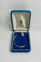Bracelet inside blue velvet presentation case showing overall appearance