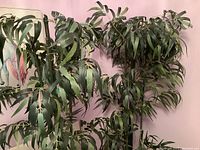 Two artificial bamboo plants with detailed green leaves and multiple stalks placed near a pink wall.