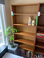 Ikea wood veneer bookshelf with four adjustable and one fixed shelf, standing next to a window with a green potted plant beside it.