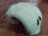 Close-up of mid-century fur hat showing cream color with dark brown spots and plush fur texture, placed on wood floor.