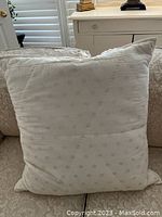 Close-up image of a single white Eurosham pillow showing the textured dot pattern on the fabric.