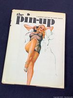 Front cover of the book 'The Pin-up' showing a pin-up artwork of a woman in sheer black outfit and white coat, resting on a dark background.