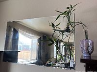 Beveled mirror reflecting interior room with bamboo plant and purple marbled glass vase on the right side.