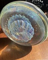 Close-up of the paperweight showing its internal spiral floral sculpture, iridescent rainbow colors and small bubbles.