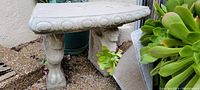 Small decorative cement garden bench with carved legs and curved seat in an outdoor setting near plants and gravel.
