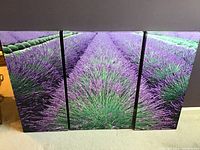 Overall view of the triptych canvas set depicting lavender field with three panels evenly spaced.