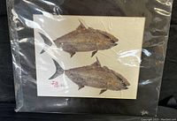 Sealed, matted artwork showing two yellowtail fish in traditional Gyotaku style with black matting.