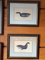 Overview of both framed watercolor wildlife paintings mounted on wall