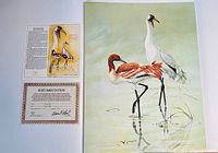 Photo of the signed limited edition print 'Whooping Crane' showing two cranes in water, with documentation and certificate of authenticity included.