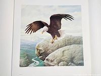 The artwork shows a bald eagle flying over a scenic rocky landscape with river and mountains in the background.
