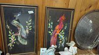 Pair of exotic feather art birds in individual frames, against black background, sitting upright on a surface with other decor items