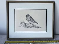 Framed pen and charcoal drawing of a bird, image shows full art piece in gray frame with measuring tape for scale.