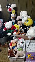 Wide view showing variety of classic Disney and other stuffed animals including Sylvester, Tweety, Mickey Mouse, Flounder, and others displyed on and around boxes.