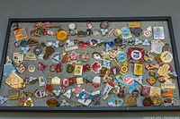 Full view of assorted vintage pins arranged in display box showing variety including flags, themed symbols, and organizational pins.